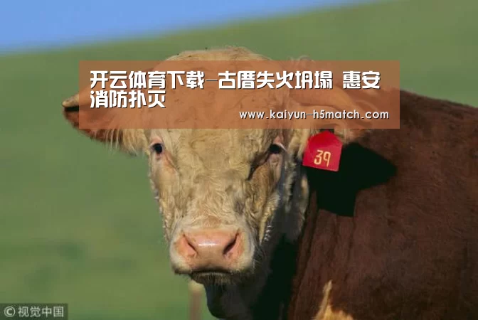 开云体育下载